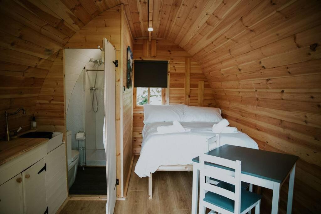 Pine Cosy Winter Cabin - Hot Tub & Log Burner Apartment Barmouth Bagian luar foto