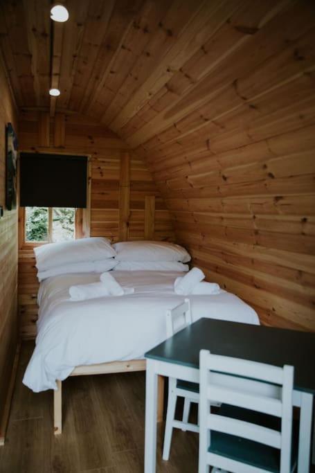 Pine Cosy Winter Cabin - Hot Tub & Log Burner Apartment Barmouth Bagian luar foto