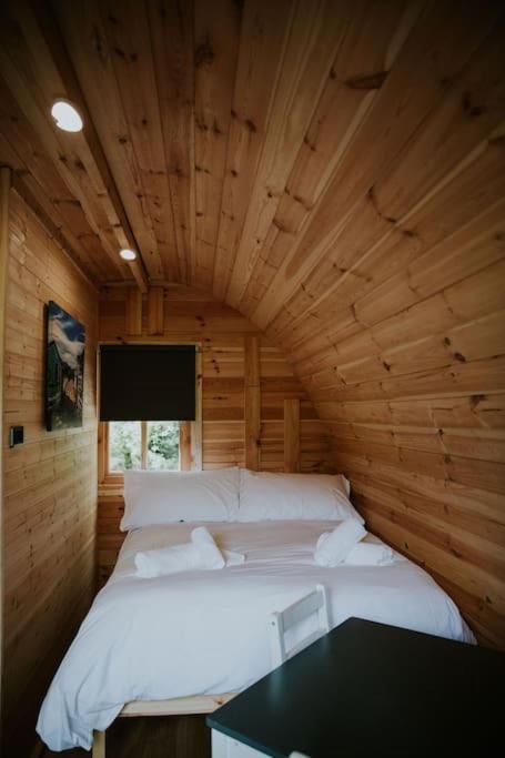 Pine Cosy Winter Cabin - Hot Tub & Log Burner Apartment Barmouth Bagian luar foto