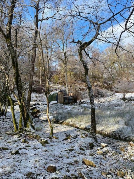 Pine Cosy Winter Cabin - Hot Tub & Log Burner Apartment Barmouth Bagian luar foto