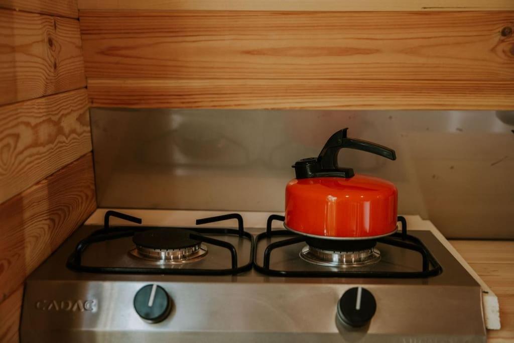 Pine Cosy Winter Cabin - Hot Tub & Log Burner Apartment Barmouth Bagian luar foto